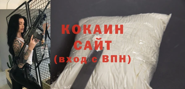 сатива Дмитриев