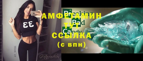 сатива Дмитриев