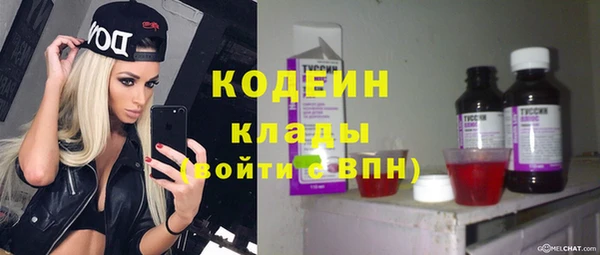 сатива Дмитриев