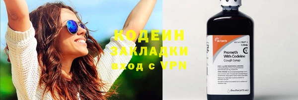 сатива Дмитриев