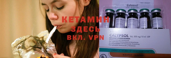 сатива Дмитриев