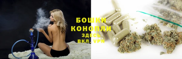 сатива Дмитриев