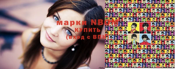 сатива Дмитриев