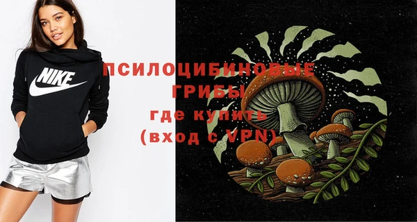 спиды Дмитровск