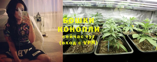 спиды Дмитровск