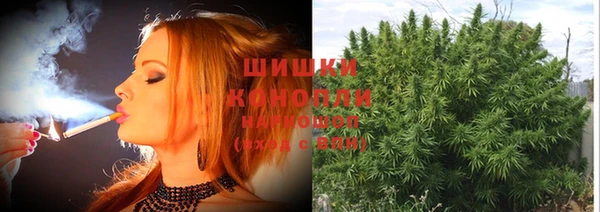 спиды Дмитровск