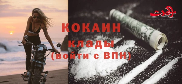 сатива Дмитриев