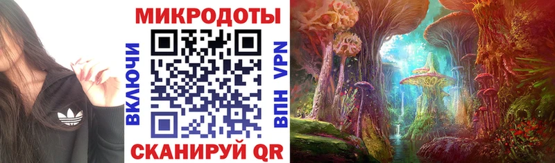 Галлюциногенные грибы Psilocybe  продажа наркотиков  Опочка 